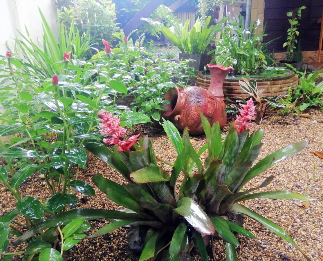 Homestay Chiangrai تْشينيغْرايْ المظهر الخارجي الصورة